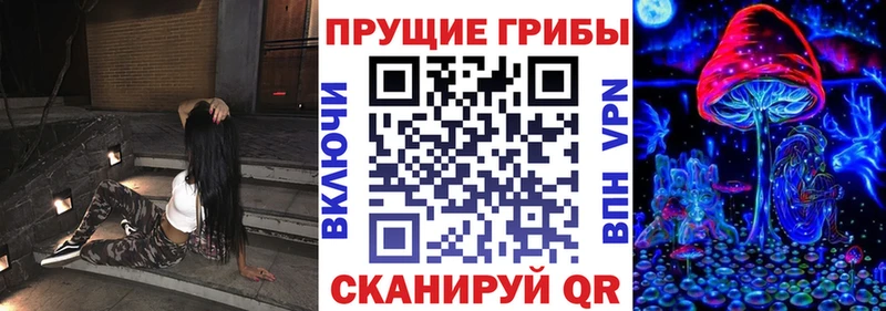 Галлюциногенные грибы мухоморы  Новая Ладога 